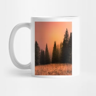 Foggy sunset in redwood forest Mug